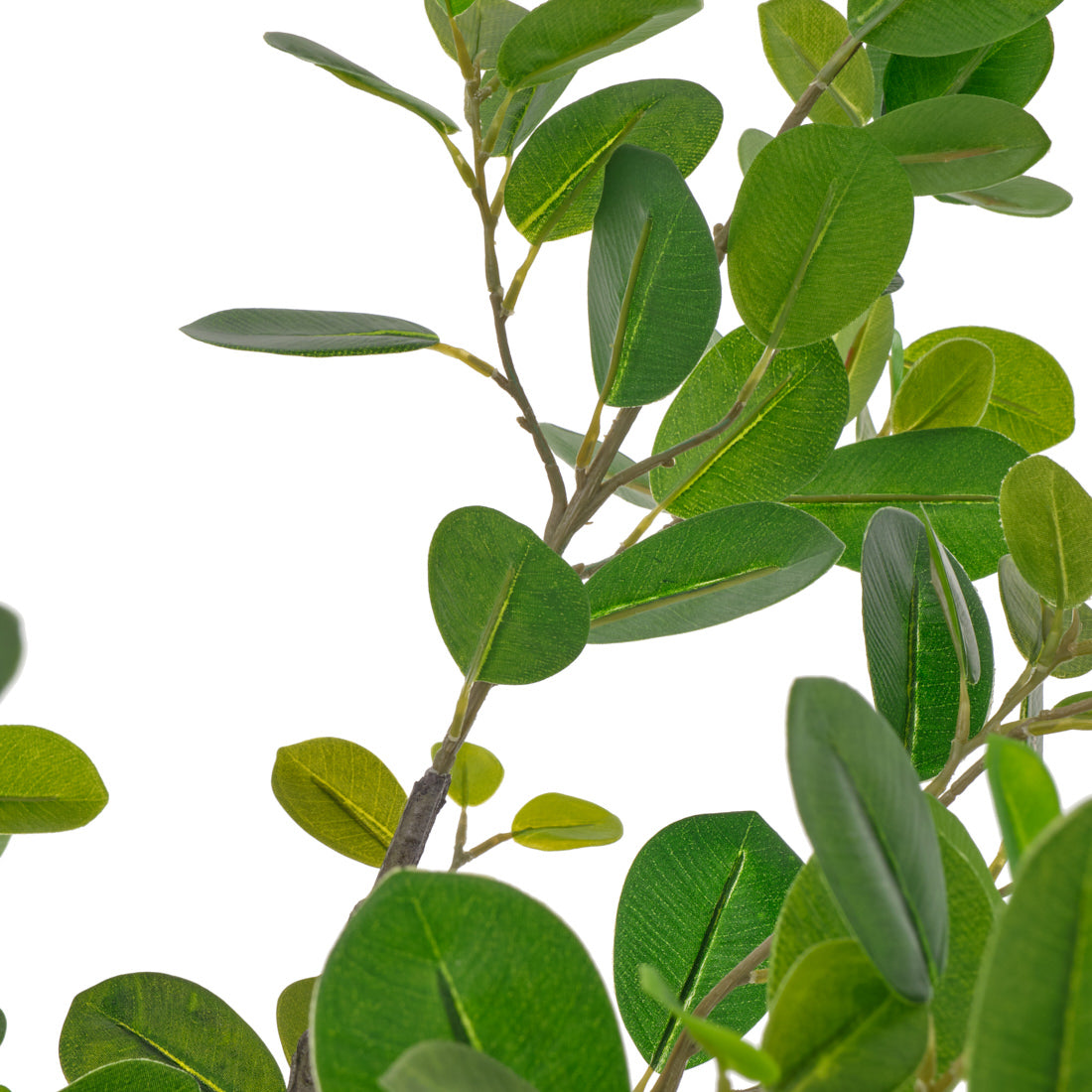 Eva Ficus Artificial Plant Dark Green